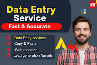 do fast data entry and admin support, web research, copy paste