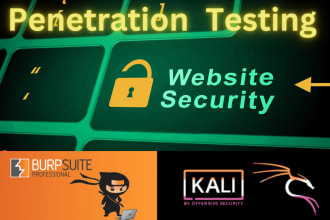 do penetration testing and vulnerability assessment on website