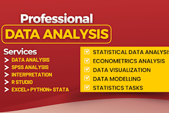 do statistical and econometrics data analysis with spss, rstudio, excel, python