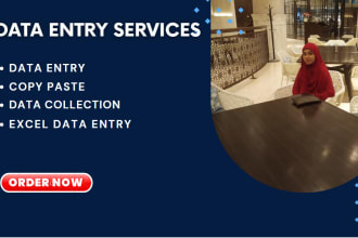 do data entry, ms word typing,document excel, copy paste job and translation