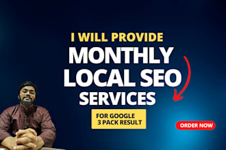 provide monthly local seo service for local business