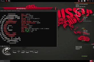do a thorough penetration test of your website with a report