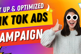 be your professional tik tok ads manager, run tiktok ads campaign with max ROI