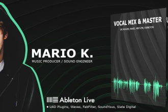 do vocal mix master