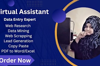 do urgent accurate and fastest actual data entry in low price