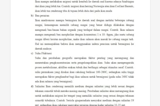 translatting english to indonesia fluently