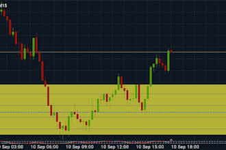 provide forex mentorship and tutorials