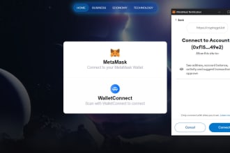 integrate web3 wallet connection for your website