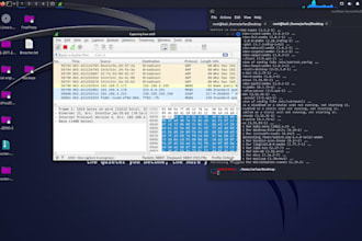 vulnerability assessment and penetration testing  your website