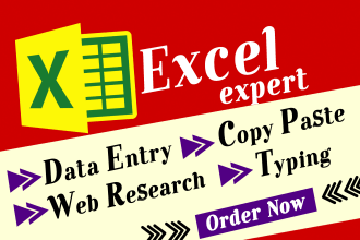 do data entry typing work, copy paste job, excel data entry, PDF to excel typing