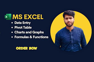 data entry, formulas, charts, pivot table in microsoft excel 2023