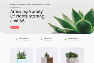 develop website for  business or product landing page