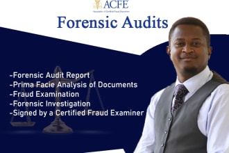 do a professional forensic and financial audit