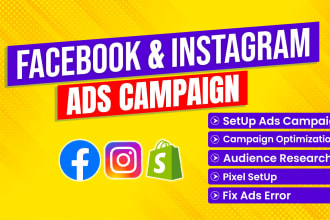 set up professionally facebook and instagram ads for leads and sales