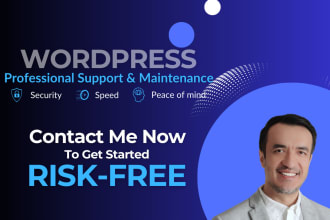 provide professional maintenance and support for your wordpress website