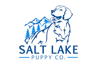 create unique creative animal pet dog logo design in 24 hrs