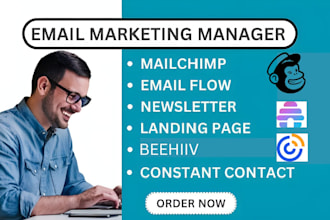 design mailchimp newsletter, beehiiv newsletter, constant contac, beehive