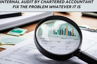 internal audit of records, find fraud or error, process improvement suggestions