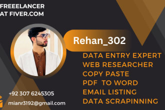 data entery, web research, convert pdf to excel, copy paste