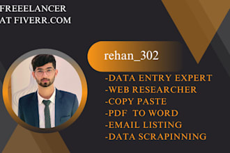 data entery, web research, convert pdf to excel, copy paste