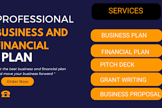 wite professional business and financial plan for you