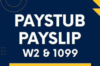 make paystub check stub payslip w2 and 1099