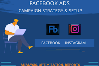 be ads manager,ads expert,run instagram sponsored ads,run facebook ads,video ads
