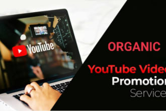 do organic youtube video promotion and channel monetization