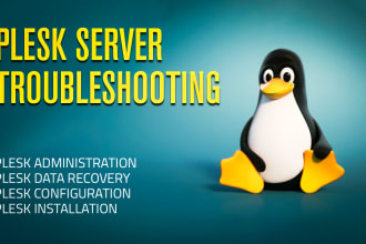expertly install configure and migrate plesk server