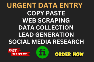 do urgent data entry in 24 hours