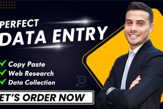 perfect data entry, web research, wordpress content upload, excel admin support