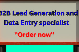 do b2b lead generation, linkedin, email lists and data entry