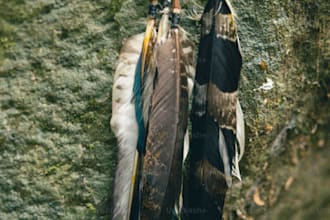 help with your native american genealogy research