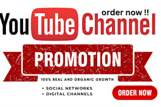 do organic USA youtube video promotion