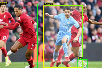 do image annotation object detection, tracking, tagging, and classification