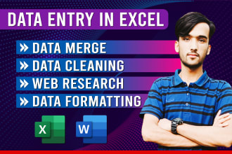 do excel data cleaning, data collection, copy paste, and excel data entry