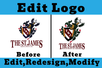 edit,redesign,modify or update your logo in vector