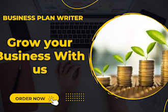 write a comprehensive business plan with financial planning
