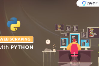 do website automation and python web scraping