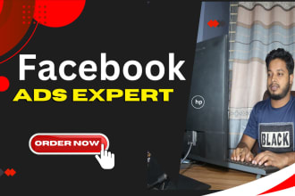 set up facebook and instagram ads campaign for sales and leads