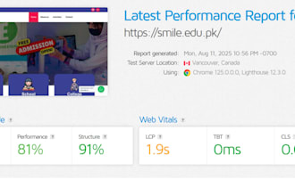 do wordpress speed optimization and speed up wordpress website