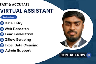 be your virtual assistant for data entry, copy paste and online research