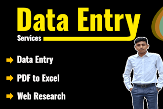 do data entry, copy paste, web research, excel data entry, pdf to excel