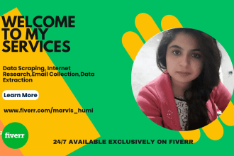 do web research, data entry, email collection, data extraction and data input