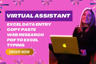 do excel data entry, convert pdf to excel, copy paste, typing and web research