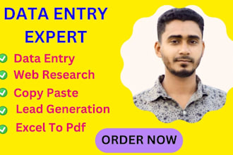 do data entry web research copy paste and lead generation