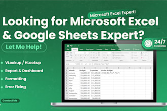 do microsoft excel and google sheets expert