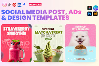 design social media graphic templates in canva for insta, fb