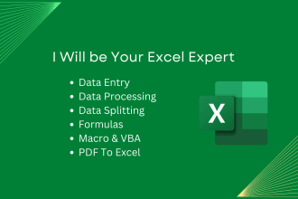 do excel data entry, data processing, data splitting, macro vba