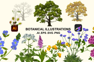 draw vector botanical illustrations of plants and flowers